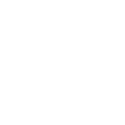 Helvetic Airways logo
