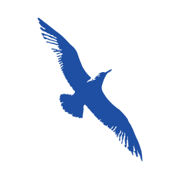Cape Air logo