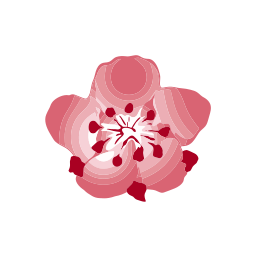 China Airlines logo
