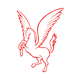 Pegasus Airlines logo